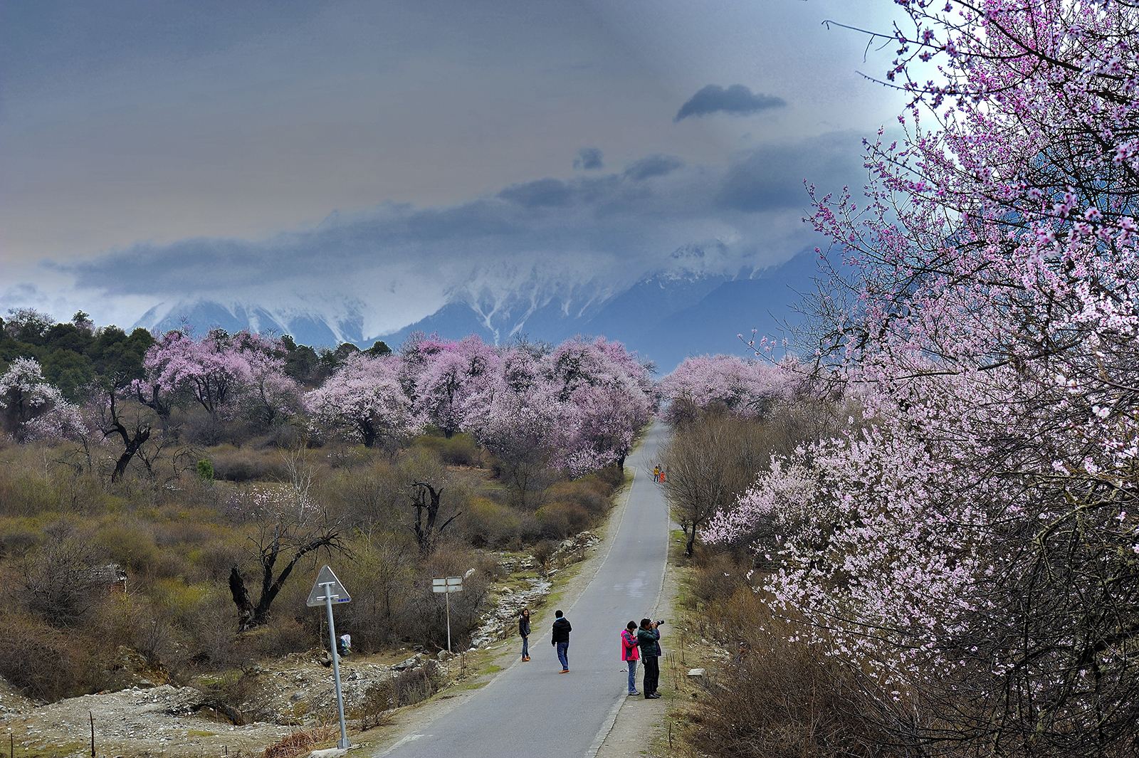 林芝英超Jrs直播吧_极速体育app_极速体育app下载路线推荐_攻略