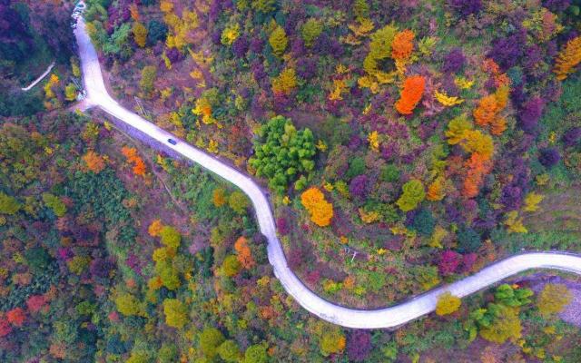 四明山盘山公路英超Jrs直播吧_极速体育app_极速体育app下载景点