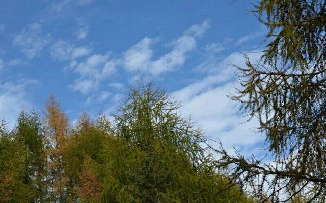 鳌山景区英超Jrs直播吧_极速体育app_极速体育app下载景点
