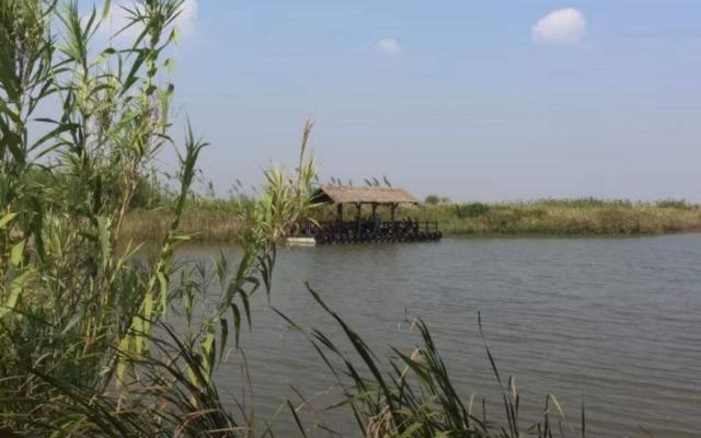 杭州湾湿地公园英超Jrs直播吧_极速体育app_极速体育app下载景点