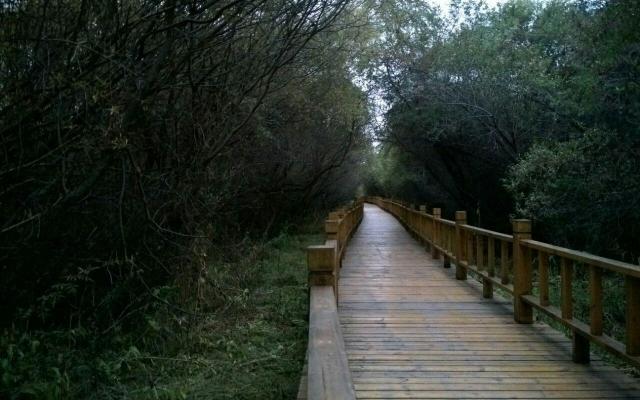 苍头河生态走廊英超Jrs直播吧_极速体育app_极速体育app下载景点
